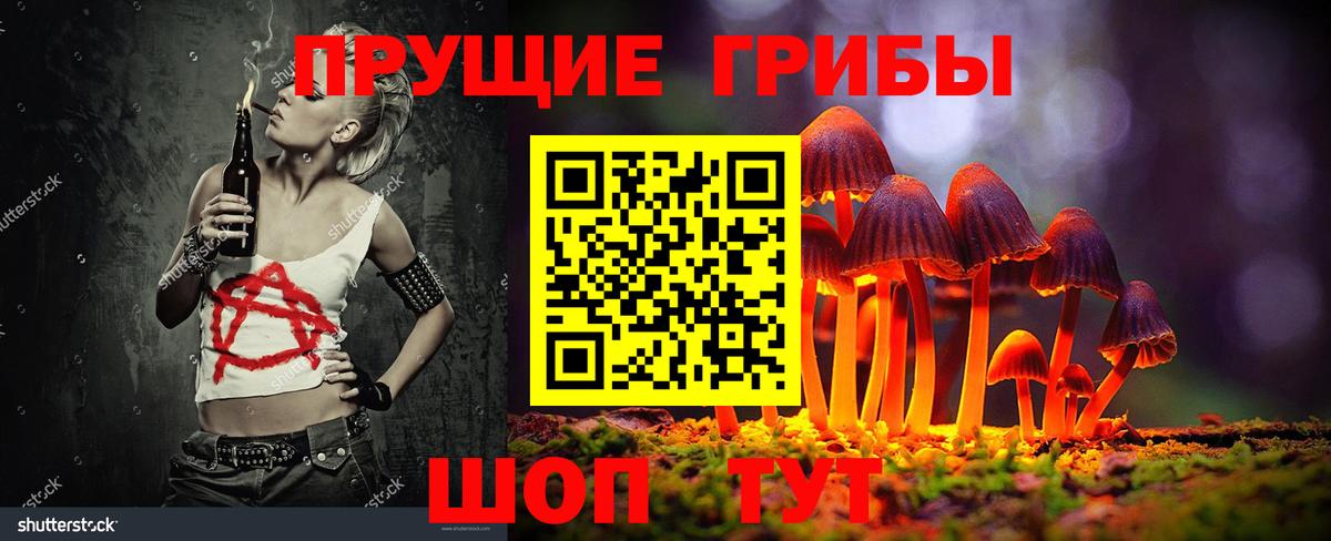 Псилоцибиновые грибы Psilocybine cubensis Ипатово