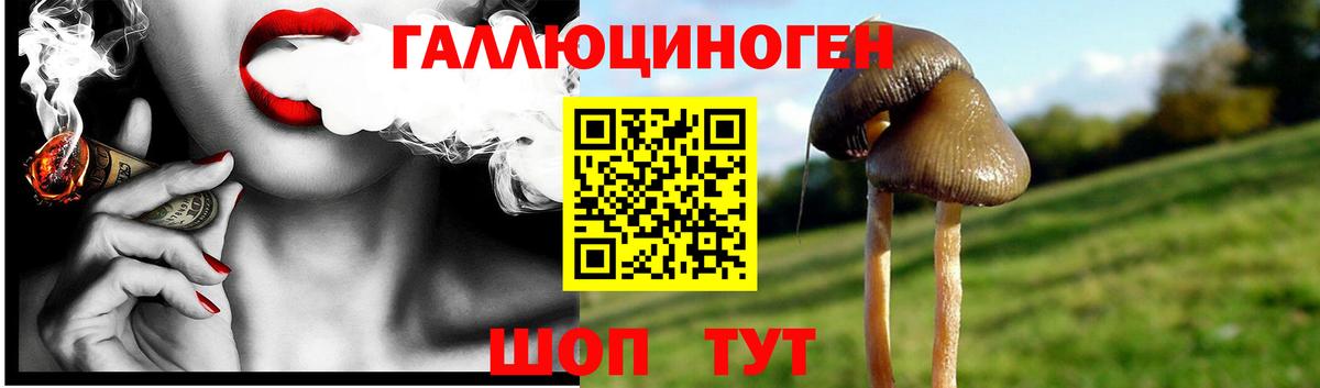 Ипатово  Галлюциногенные грибы Psilocybe  Вход с VPN  Псилоцибиновые грибы мухоморы 
